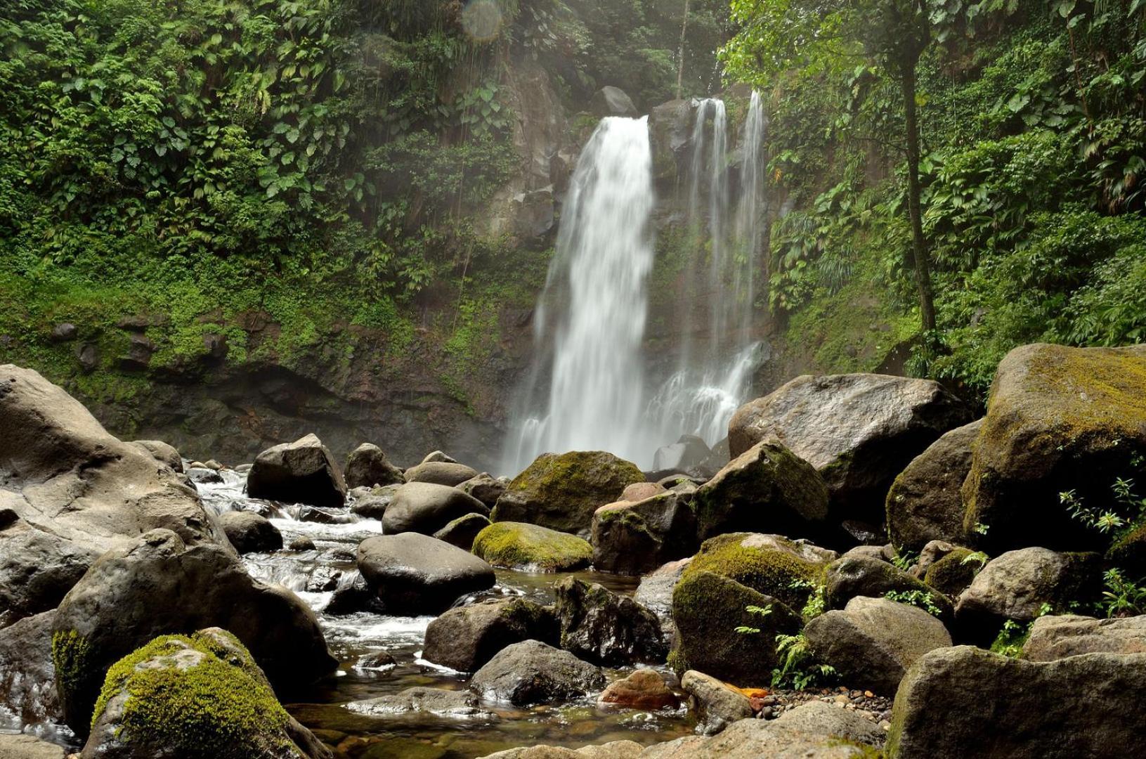 River Paradise Goyave Экстерьер фото